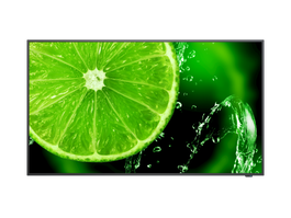 NEC MultiSync E438 Display Digital Signage LCD 43 Pulgadas / 108 cm 4K Ultra HD 3840x2160, 350 cd/m², HDR HLG, IPS, 16/7, Negro - 60005045