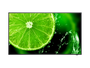 NEC MultiSync E438 Display Digital Signage LCD 43 Pulgadas / 108 cm 4K Ultra HD 3840x2160, 350 cd/m², HDR HLG, IPS, 16/7, Negro - 60005045
