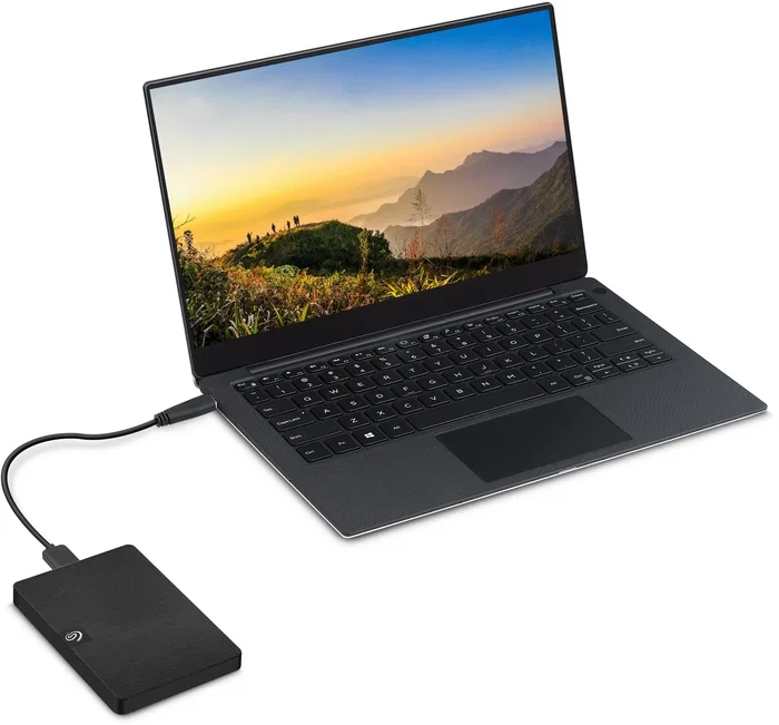 Seagate Expansion Portable 1 TB Negro Seagate Expansion Portable 1 TB Negro