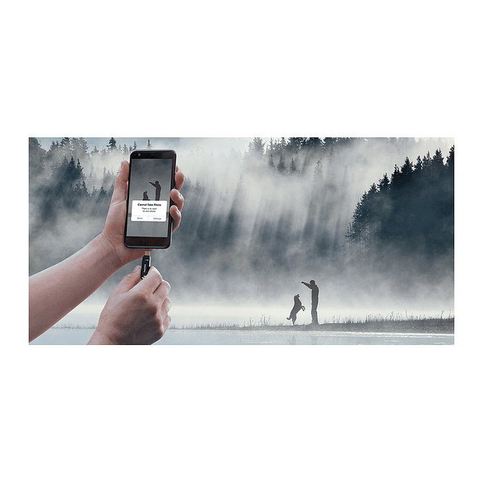 SanDisk Ultra Dual Drive Go 256GB USB Type-C/Type-A Negro