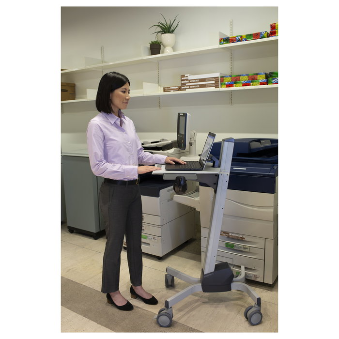 Ergotron NeoFlex Laptop Cart, Carro Multimedia con Ruedas, Ajuste de Altura hasta 51 cm para Portátiles 12-17 Pulgadas (30.5-43.2 cm), Carga hasta 6.8 kg, Color Gris Ergotron NeoFlex Laptop Cart, Carro Multimedia con Ruedas, Ajuste de Altura hasta 51 cm para Portátiles 12-17 Pulgadas (30.5-43.2 cm), Carga hasta 6.8 kg, Color Gris