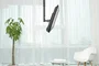 Newstar FPMA-C060BLACK Soporte de Techo para TV (10-40", Hasta 30 kg, VESA 75x75 a 200x200, Inclinación y Giro 180°, Negro)