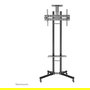 Neomounts PLASMA-M1700E Soporte de suelo portátil para TV 32-70" Negro Acero 50 kg