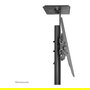 Neomounts PLASMA-M1700E Soporte de suelo portátil para TV 32-70" Negro Acero 50 kg
