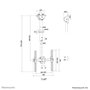 Neomounts NM-C440BLACK Soporte de Techo Ajustable para Pantalla, 32-60", 50 kg Max, VESA 200x200-400x400, Altura 56-91 cm, Inclinación 25°, Rotación 360°, Negro
