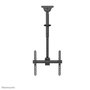Neomounts NM-C440BLACK Soporte de Techo Ajustable para Pantalla, 32-60", 50 kg Max, VESA 200x200-400x400, Altura 56-91 cm, Inclinación 25°, Rotación 360°, Negro