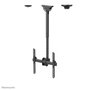 Neomounts NM-C440BLACK Soporte de Techo Ajustable para Pantalla, 32-60", 50 kg Max, VESA 200x200-400x400, Altura 56-91 cm, Inclinación 25°, Rotación 360°, Negro