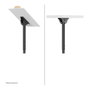 Neomounts NM-C440BLACK Soporte de Techo para Monitor/TV 32-60 Pulgadas