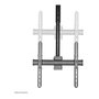 Neomounts NM-C440BLACK Soporte de Techo para Monitor/TV 32-60 Pulgadas