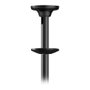 Neomounts FPMA-C340BLACK Soporte de Techo para Pantallas 32-75 pulgadas