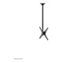 Neomounts FPMA-C340BLACK Soporte de Techo para Pantallas 32-75 pulgadas