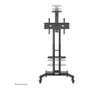 Newstar NM-M1700BLACK Soporte de suelo móvil para TV plana de 32 a 75 pulgadas, Negro, Acero, Carga 50 kg