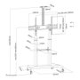 Neomounts PLASMA-M1950E Soporte de Suelo Móvil para Pantallas de 60-100 pulgadas