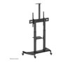Neomounts PLASMA-M1950E Soporte de Suelo Móvil para Pantallas de 60-100 pulgadas