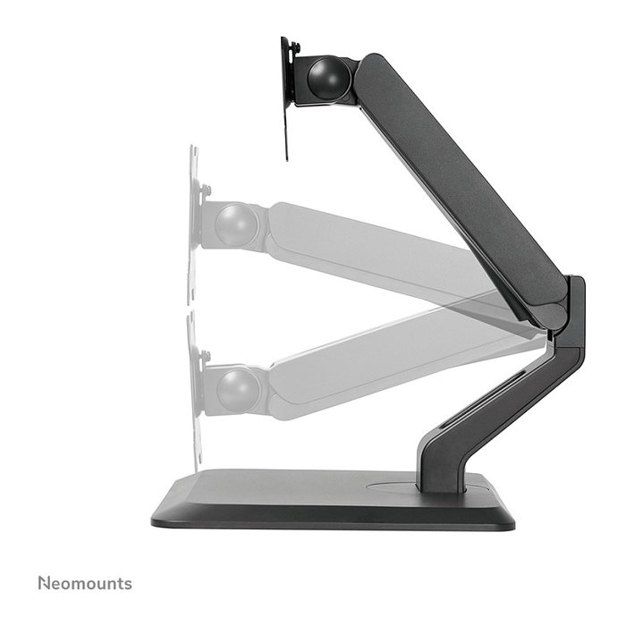 Newstar Soporte de Escritorio para Monitor