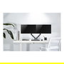 Neomounts FPMA-D650DBLACK Soporte de Mesa para 2 Monitor - Negro