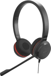 Jabra Evolve 20 UC Duo USB Special Edition Auriculares negro 4999-829-409