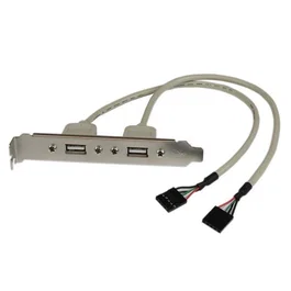 StarTech.com Adaptador de Placa USB A Hembra de 2 puertos, 2 x IDC, 2 x USB A, 0,286 m, Plata