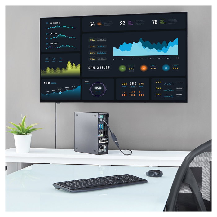 StarTech Adaptador de Vídeo DisplayPort a HDMI 24 cm Negro