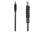 Startech Cable Mini DisplayPort a DisplayPort 1.2 3m 4K