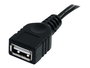 StarTech Cable de Extensión USB 2.0 Alta Velocidad 1.8m (1.8 Metros) Conector Macho a Hembra Tipo A Negro para Teclado, Ratón, Impresora