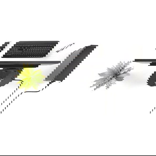 StarTech.com Cable DisplayPort a DVI-D 1.8 m, Macho a Macho, Pasivo, Hasta 1920x1200/1080p, Conector Dorado, Negro, Adaptador de Vídeo