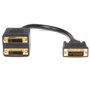 Cable Video Digital DVI-D Startech DVISPL1DD