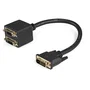 StarTech.com DVISPL1DD Cable Duplicador de Vídeo DVI-D a 2x DVI-D, 0,3 m, Negro