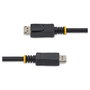 Cable DisplayPort Startech DISPL50CM 0,5 m Negro
