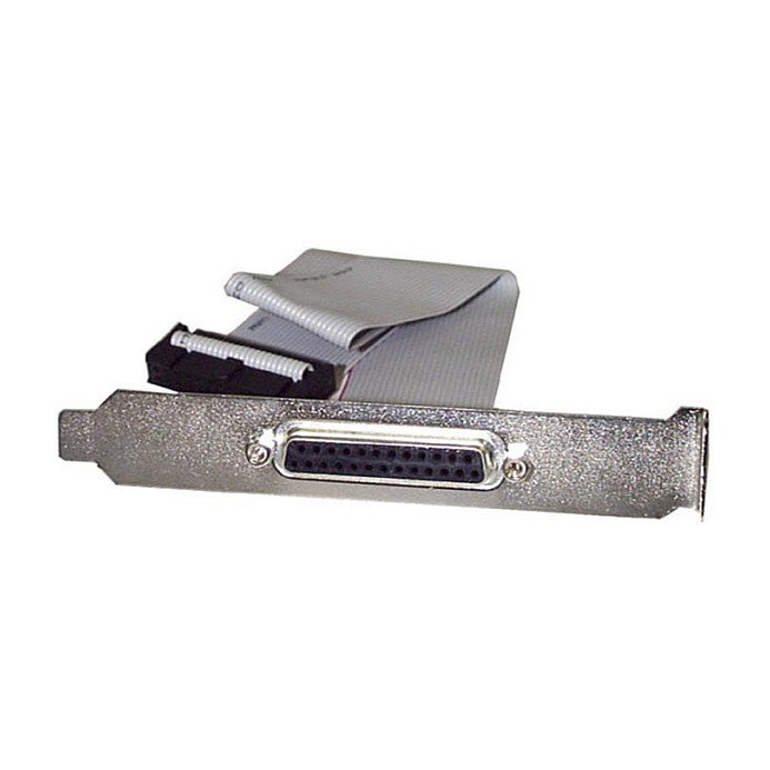 StarTech Adaptador Paralelo DB25 a IDC25 con Cable de 40cm, DB-25 Hembra a IDC Hembra, Cable 0.4 m Gris, RoHS StarTech Adaptador Paralelo DB25 a IDC25 con Cable de 40cm, DB-25 Hembra a IDC Hembra, Cable 0.4 m Gris, RoHS