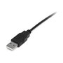 Cable USB A a USB B Startech USB2HABM1M Negro