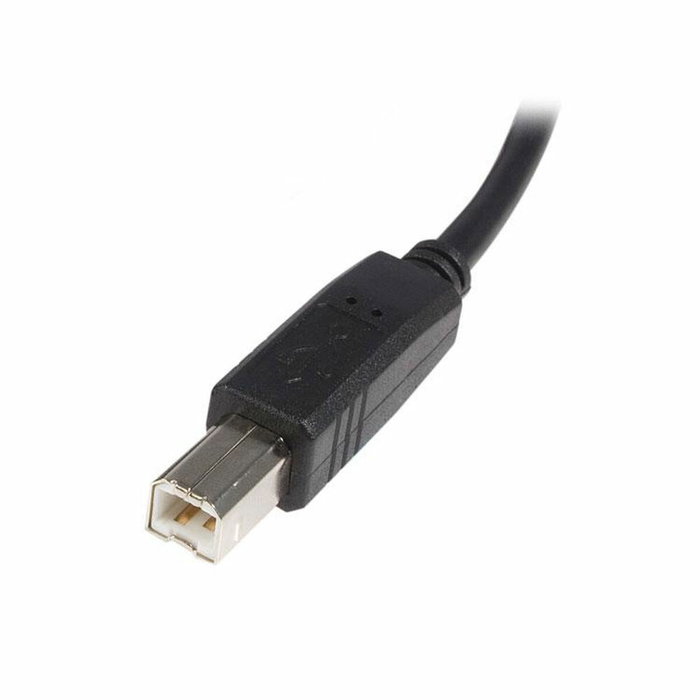 Cable USB A a USB B Startech USB2HAB1M Negro