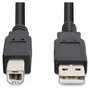 StarTech Cable USB 2.0 Activo de 15m USB A a USB B Negro
