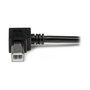 StarTech.com Cable USB 2.0 A a B en Ángulo Recto, Macho a Macho, 2 Metros, Negro, 480 Mbit/s