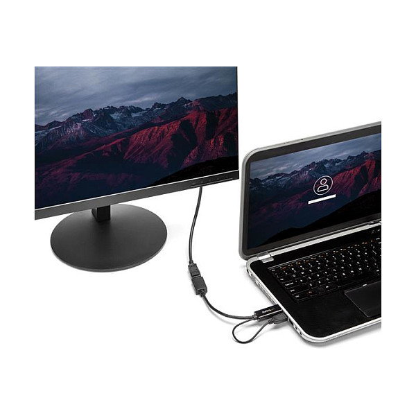 StarTech.com Adaptador de Vídeo HDMI a DisplayPort 4K HD2DP Negro
