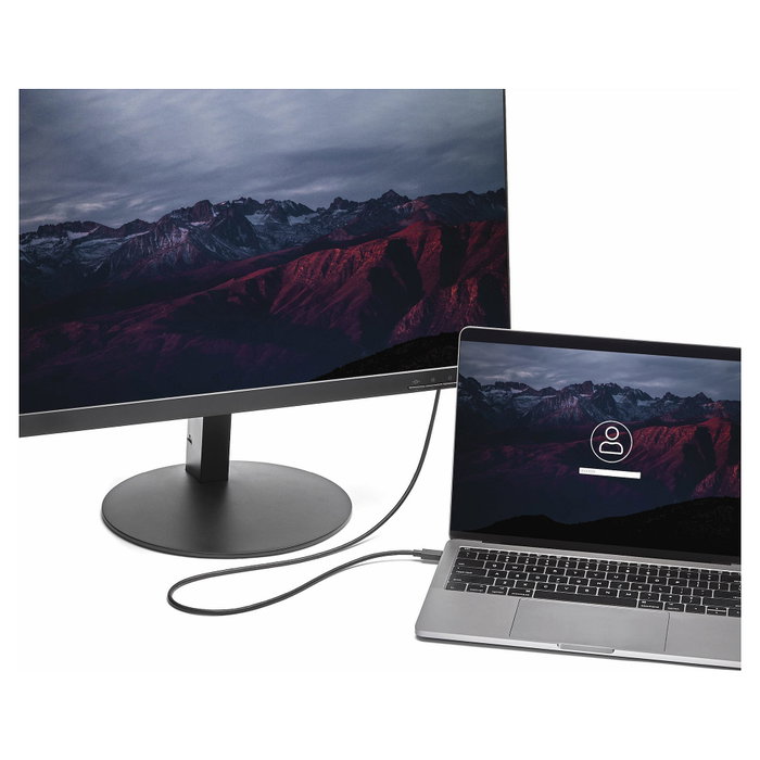 StarTech.com Cable USB C a DisplayPort 1.2 de 1,8 m 4K a 60Hz Negro
