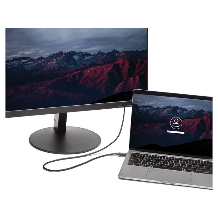 StarTech.com Cable USB-C a DVI 2m Negro