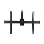 StarTech.com Soporte de Techo Universal para TV LED/LCD de 32" a 75", Mástil Telescópico Ajustable 110-160 cm, Giro 360°, Inclinación, 50 kg, VESA 200x200 a 600x400 mm, Negro