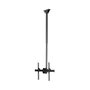StarTech.com Soporte de Techo Universal para TV LED/LCD de 32" a 75", Mástil Telescópico Ajustable 110-160 cm, Giro 360°, Inclinación, 50 kg, VESA 200x200 a 600x400 mm, Negro