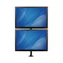 StarTech ARMDUALV Soporte Vertical para Dos Monitores de hasta 27 Pulgadas