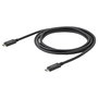 Cable USB C Startech USB315CC2M (2 m) Negro
