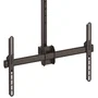 StarTech FPCEILPTBLP Soporte de Techo para TV con Movimiento Completo, Mástil Ajustable de 250-300cm, para Pantallas de 32 a 75 Pulgadas, Hasta 50kg, Negro