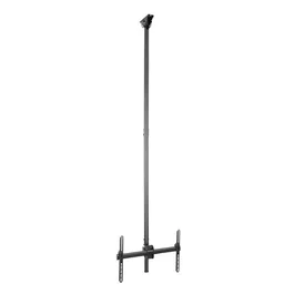 StarTech FPCEILPTBLP Soporte de Techo para TV con Movimiento Completo, Mástil Ajustable de 250-300cm, para Pantallas de 32 a 75 Pulgadas, Hasta 50kg, Negro