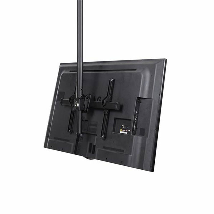 StarTech.com Soporte de Techo para TV con Mástil Telescópico 2.5-3 m, VESA 32 a 75 Pulgadas