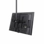 StarTech.com Soporte de Techo para TV con Mástil Telescópico 2.5-3 m, VESA 32 a 75 Pulgadas