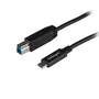 StarTech.com Cable USB-C a USB-B de 1 m USB 3.2 Gen 2 Negro