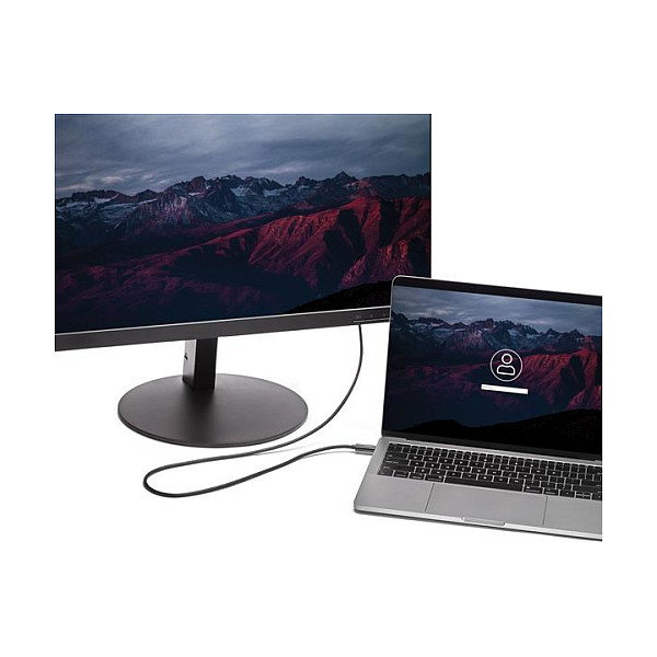 StarTech Cable USB-C a HDMI 4K 60Hz 2m Negro
