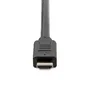 Cable HDMI Startech HD2MM10MA Negro 10 m