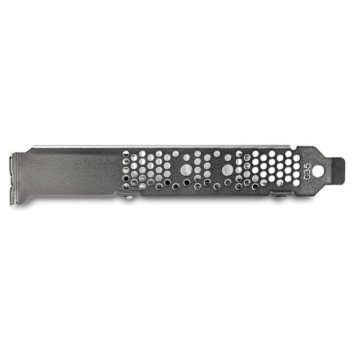 StarTech.com PEX8M2E2 x8 Dual M.2 PCIe SSD Adapter PCIe 3.0 PCI Express M.2 Netzwerkkarte