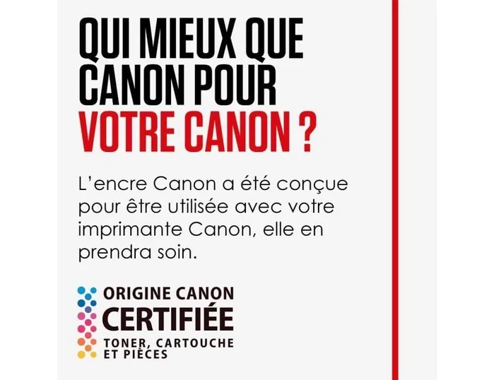 Canon PGI-580PGBKXXL Negro XXL